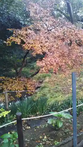鷲宮神社の自然