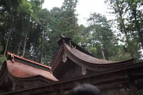 武田八幡宮の本殿