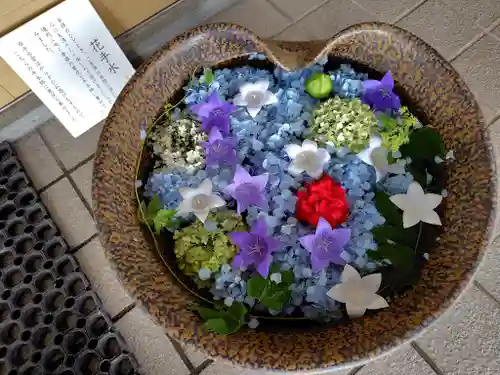 美瑛神社の手水舎