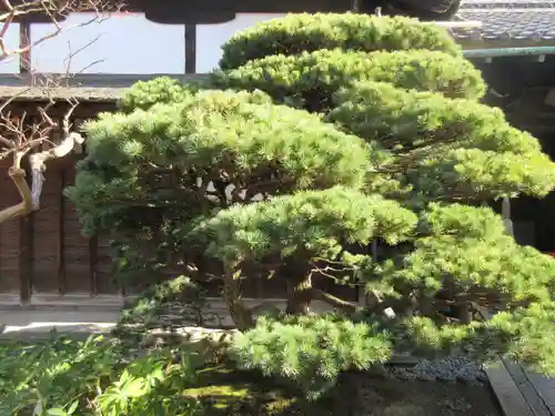 観智院（東寺子院）(京都府)