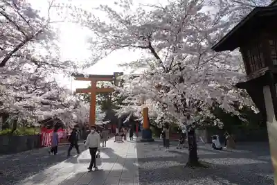 平野神社のその他建物