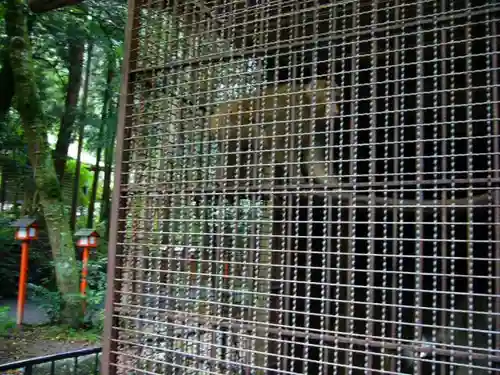 日吉大社の動物