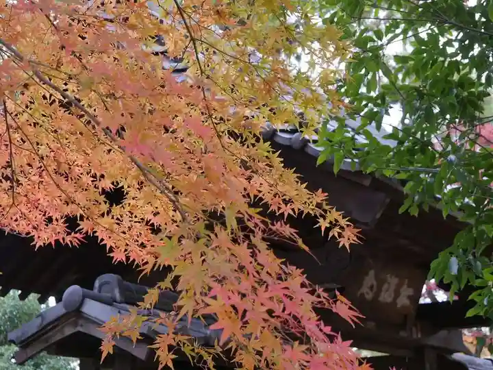 豪徳寺のその他建物