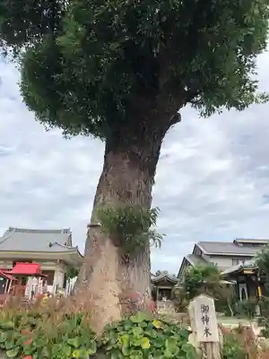 乙津寺　（鏡島弘法）(岐阜県)