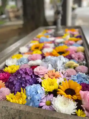 明鏡寺の手水舎
