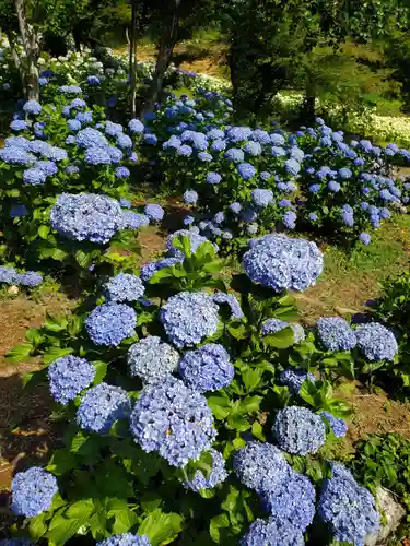 陽林寺(福島県)