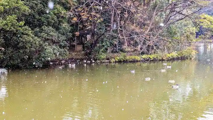 菊田神社の周辺