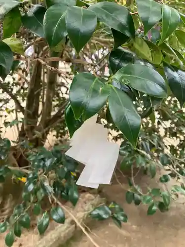 八重垣神社(島根県)