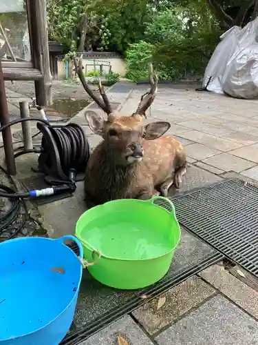 東大寺(奈良県)