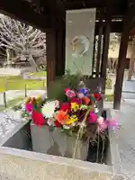 勝林寺(京都府)