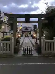 高田氷川神社の鳥居