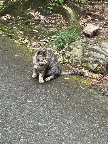 唐澤山神社(栃木県)