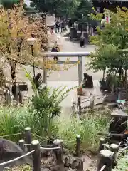 鳩森八幡神社の建物その他