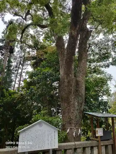 久能山東照宮の歴史