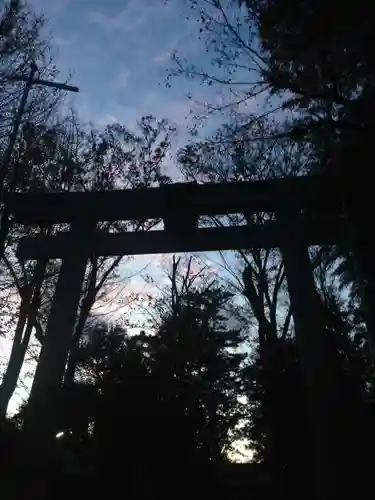 荻窪八幡神社の鳥居