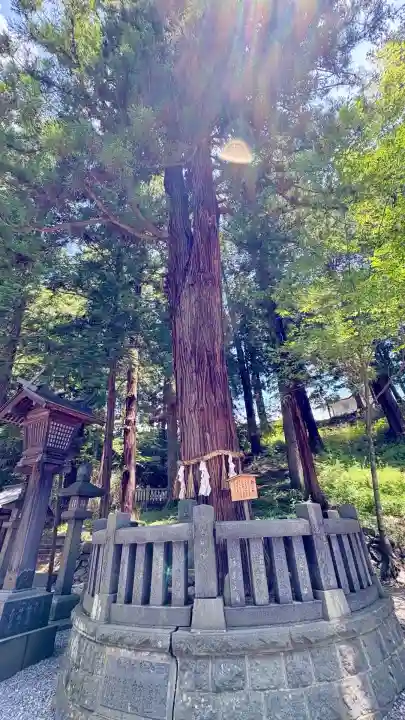 諏訪大社下社春宮(長野県)