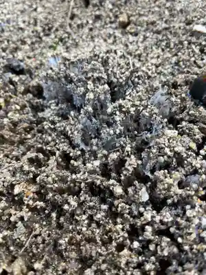 大鏑神社(福島県)