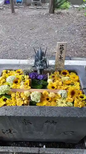 札幌諏訪神社の手水