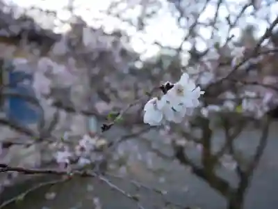 世良田東照宮の自然