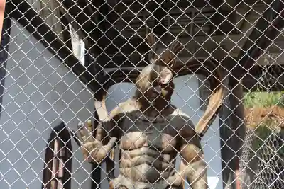 宝持院(岩手県)