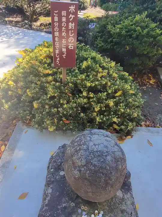 典厩寺(長野県)