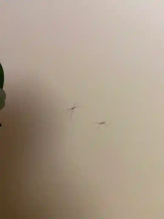 大雄院(京都府)