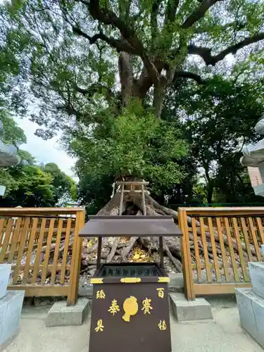 和泉國一之宮　大鳥大社(大阪府)