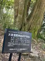 尾張冨士大宮浅間神社(愛知県)