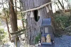 阿久津「田村神社」（郡山市阿久津町）旧社名：伊豆箱根三嶋三社の自然