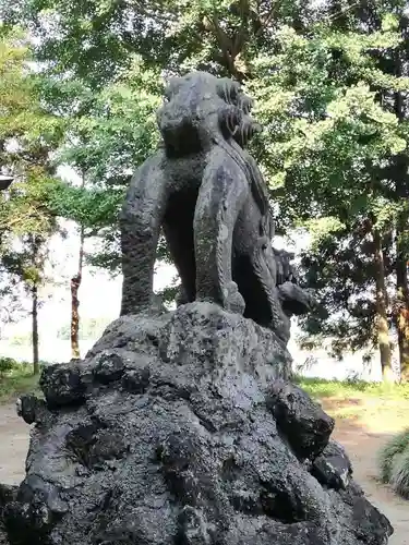 桜町二宮神社の狛犬