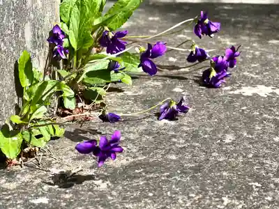 海應院(長野県)