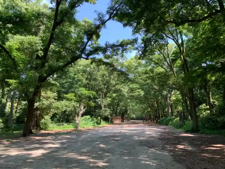 河合神社(鴨川合坐小社宅神社)のその他建物