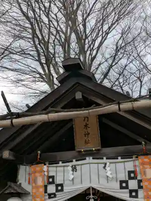 乃木神社の{uncategorized: "未分類", other: "その他", undefined: "問題あり", building: "その他建物", grave: "お墓", sacred_gate: "鳥居", guardian: "狛犬", statue: "像", buddha: "仏像", history: "歴史", nature: "自然", garden: "庭園", animal: "動物", pagoda: "塔", temizu: "手水舎", mountain_gate: "山門・神門", sanctuary: "本殿・本堂", subordinate: "末社・摂社", art: "芸術", scenery: "景色", jizo: "地蔵", ema: "絵馬", goshuin: "御朱印", omikuji: "おみくじ", items: "授与品その他", amulet: "お守り", goshuincho: "御朱印帳", eats: "食事", festival: "お祭り", votive_dance: "神楽", shichigosan: "七五三参", wedding: "結婚式", experience: "体験その他", initially: "初詣", around: "周辺", anti_infection: "感染症対策"}