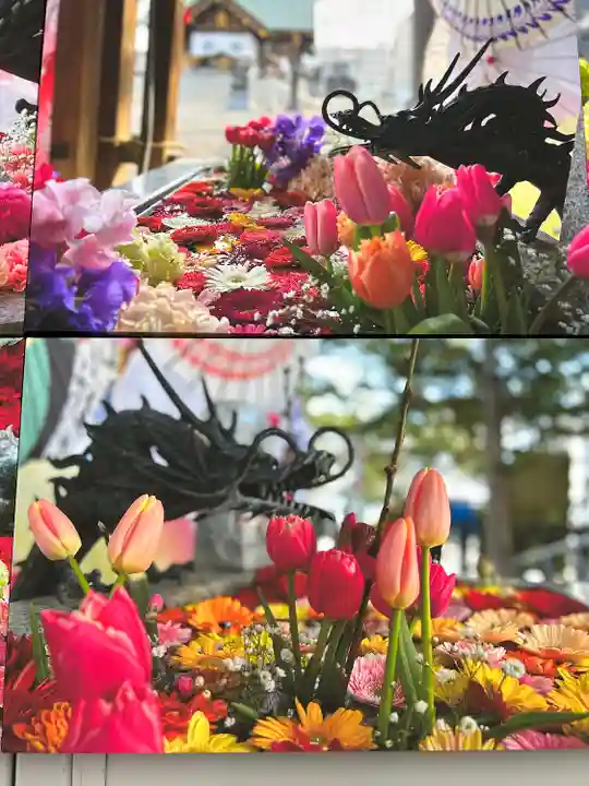 札幌諏訪神社の手水舎