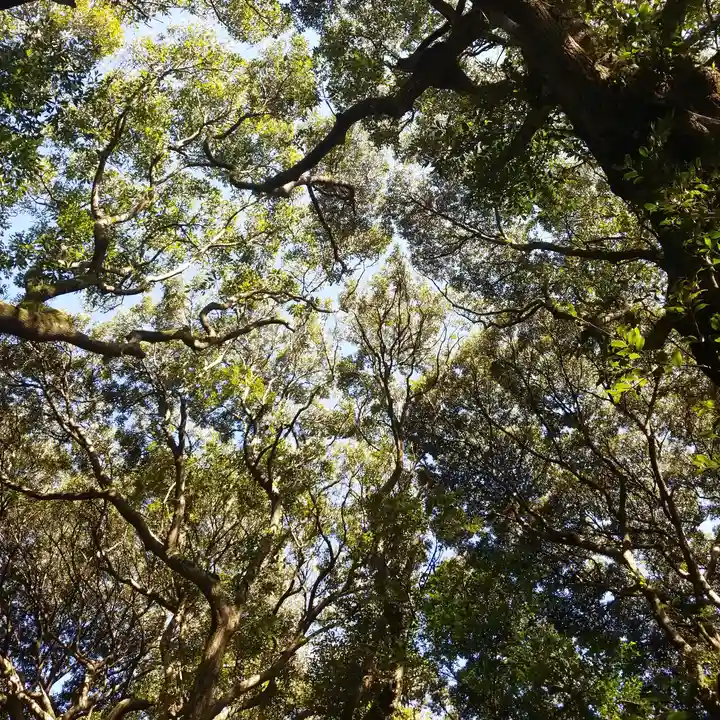 沼尾神社の自然