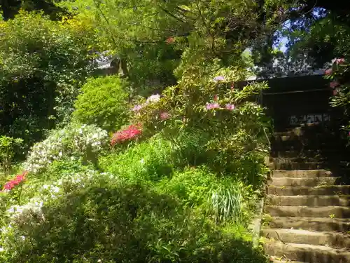浄光明寺の庭園