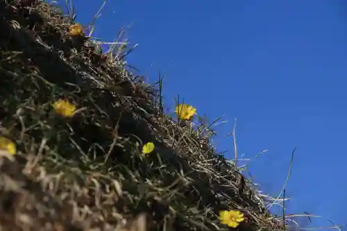 三春大神宮の自然