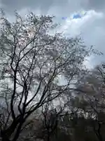 大宮温泉神社(栃木県)