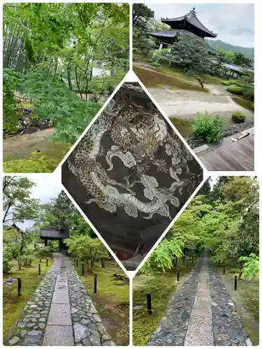 鹿王院(京都府)