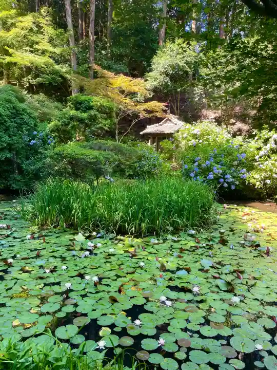 岩船寺の{uncategorized: "未分類", other: "その他", undefined: "問題あり", building: "その他建物", grave: "お墓", sacred_gate: "鳥居", guardian: "狛犬", statue: "像", buddha: "仏像", history: "歴史", nature: "自然", garden: "庭園", animal: "動物", pagoda: "塔", temizu: "手水舎", mountain_gate: "山門・神門", sanctuary: "本殿・本堂", subordinate: "末社・摂社", art: "芸術", scenery: "景色", jizo: "地蔵", ema: "絵馬", goshuin: "御朱印", omikuji: "おみくじ", items: "授与品その他", amulet: "お守り", goshuincho: "御朱印帳", eats: "食事", festival: "お祭り", votive_dance: "神楽", shichigosan: "七五三参", wedding: "結婚式", experience: "体験その他", initially: "初詣", around: "周辺", anti_infection: "感染症対策"}