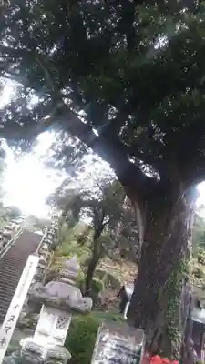 長谷寺のその他建物