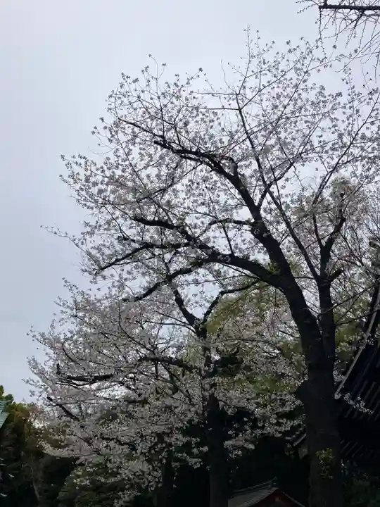 日枝神社(東京都)