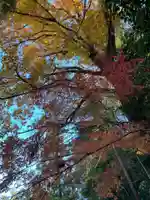 天台宗 長窪山 正覚寺の自然