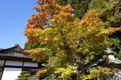 鹿島大神宮の自然