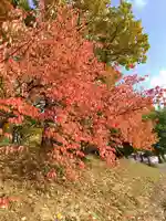 厚別神社(北海道)