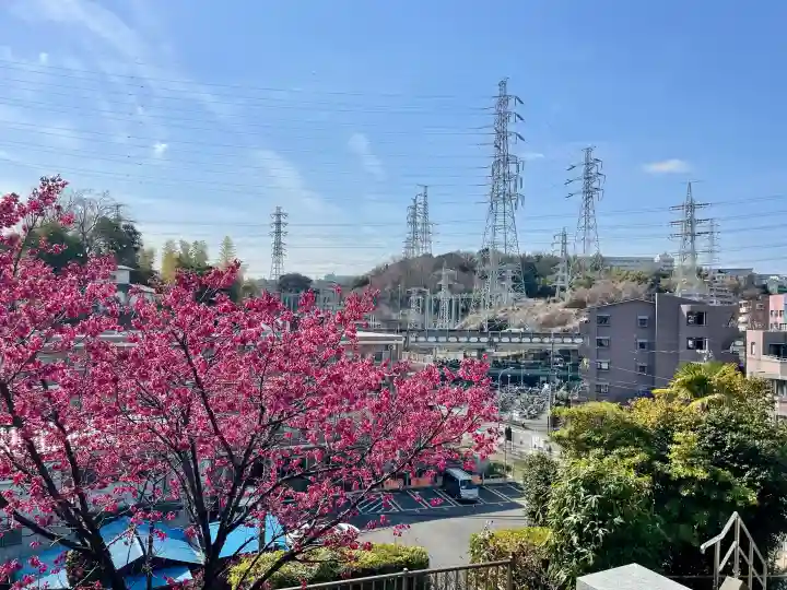 高松寺の{uncategorized: "未分類", other: "その他", undefined: "問題あり", building: "その他建物", grave: "お墓", sacred_gate: "鳥居", guardian: "狛犬", statue: "像", buddha: "仏像", history: "歴史", nature: "自然", garden: "庭園", animal: "動物", pagoda: "塔", temizu: "手水舎", mountain_gate: "山門・神門", sanctuary: "本殿・本堂", subordinate: "末社・摂社", art: "芸術", scenery: "景色", jizo: "地蔵", ema: "絵馬", goshuin: "御朱印", omikuji: "おみくじ", items: "授与品その他", amulet: "お守り", goshuincho: "御朱印帳", eats: "食事", festival: "お祭り", votive_dance: "神楽", shichigosan: "七五三参", wedding: "結婚式", experience: "体験その他", initially: "初詣", around: "周辺", anti_infection: "感染症対策"}