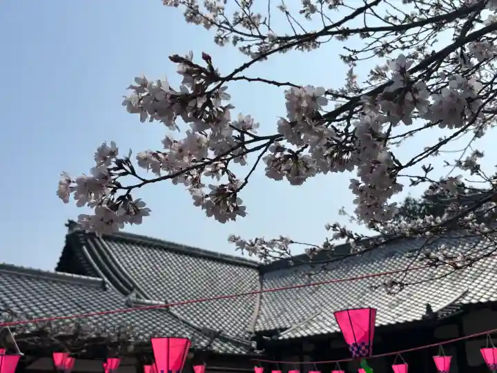 戒光寺(戒光律寺)(京都府)
