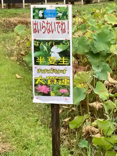 結縁寺(千葉県)