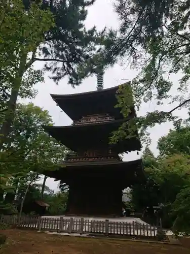 豪徳寺の塔