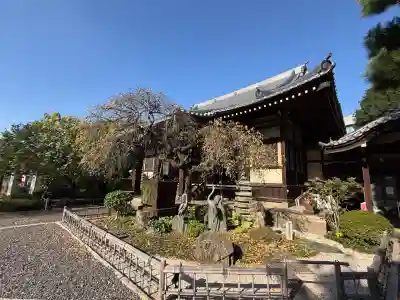 高徳寺(東京都)